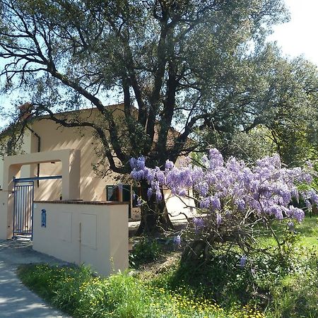 Al Vecchio Leccio Guest House Pistoia Luaran gambar