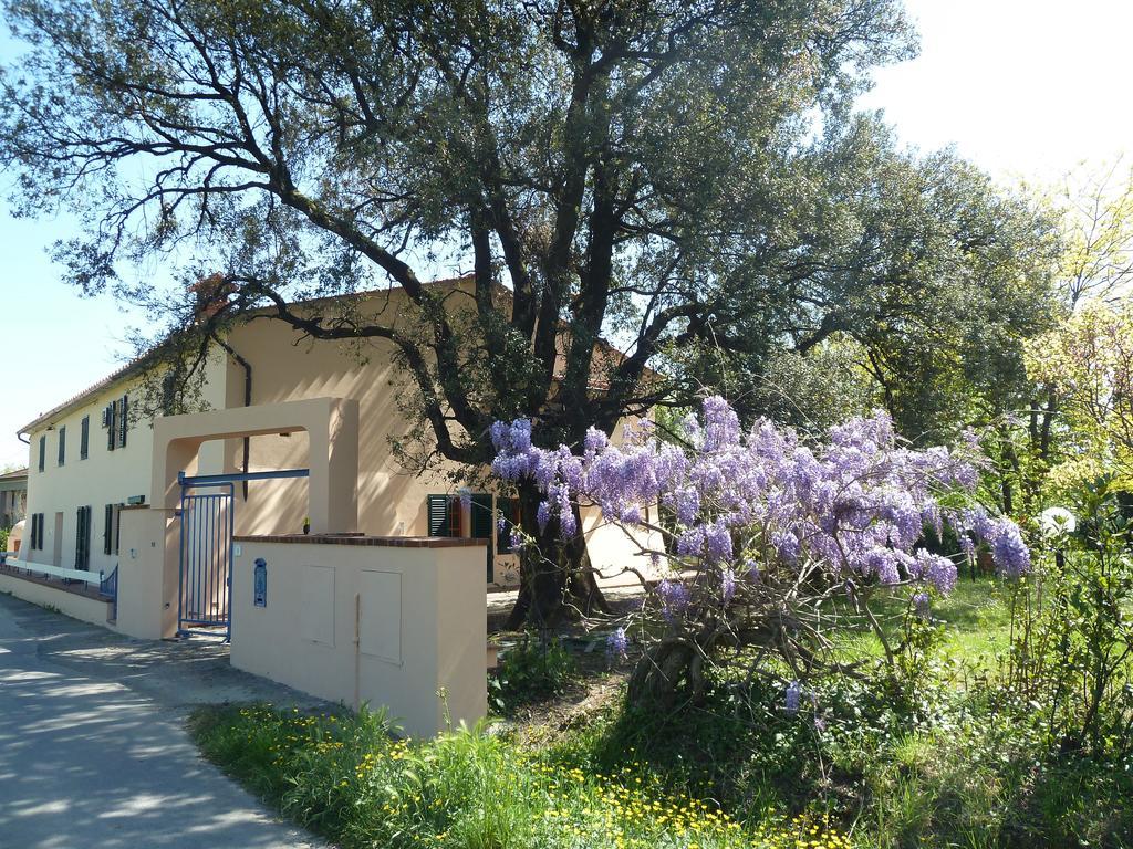 Al Vecchio Leccio Guest House Pistoia Luaran gambar