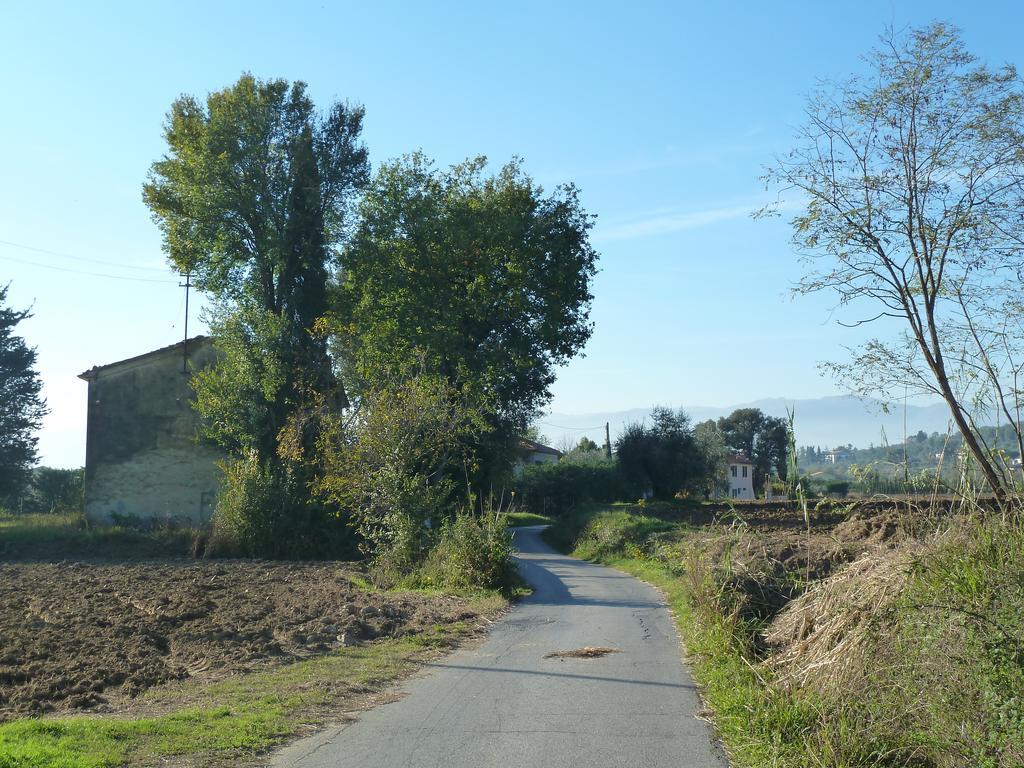 Al Vecchio Leccio Guest House Pistoia Luaran gambar