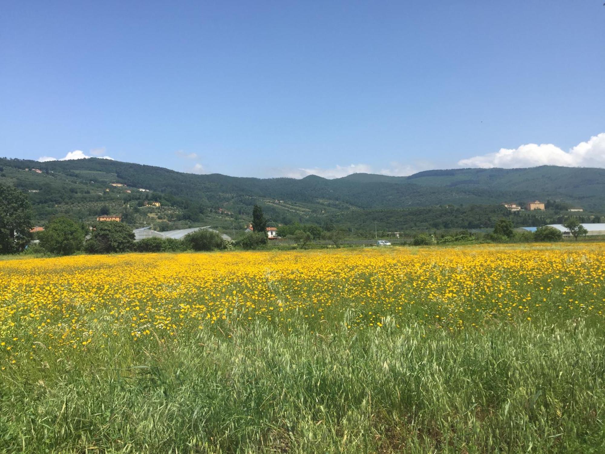 Al Vecchio Leccio Guest House Pistoia Luaran gambar