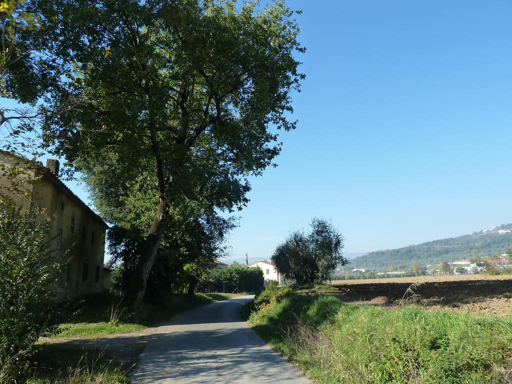 Al Vecchio Leccio Guest House Pistoia Luaran gambar
