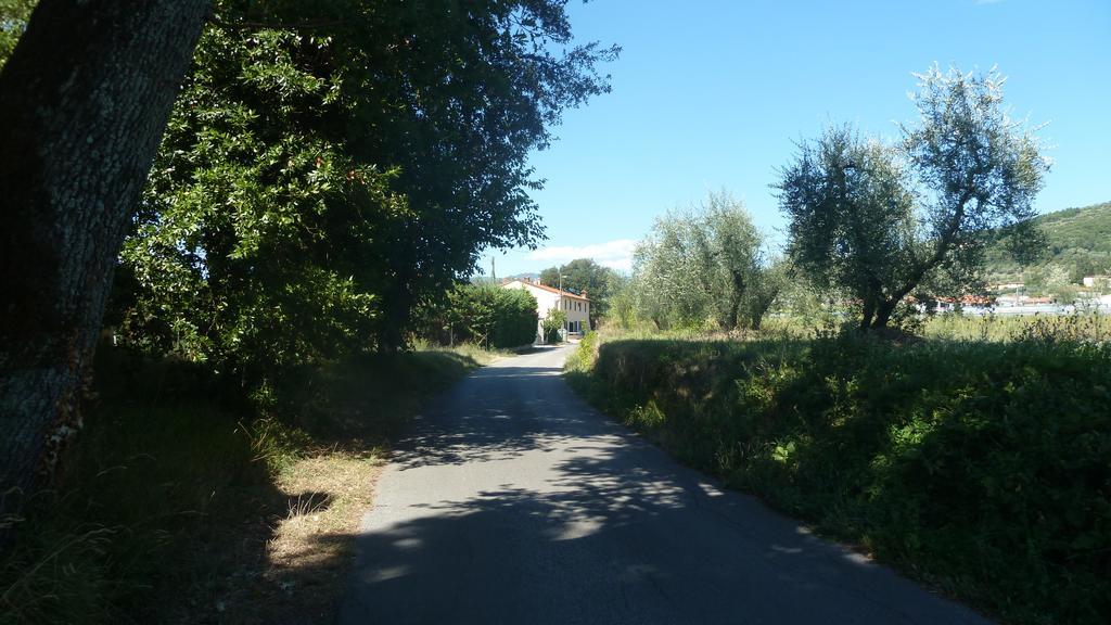 Al Vecchio Leccio Guest House Pistoia Luaran gambar
