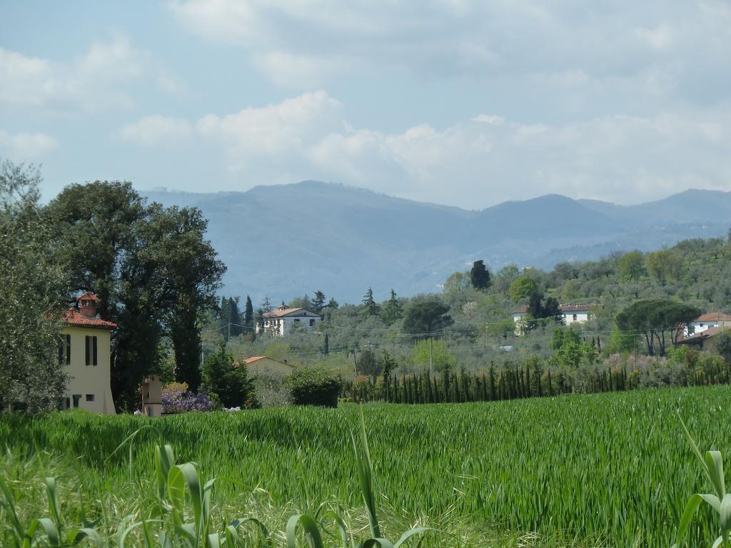 Al Vecchio Leccio Guest House Pistoia Luaran gambar