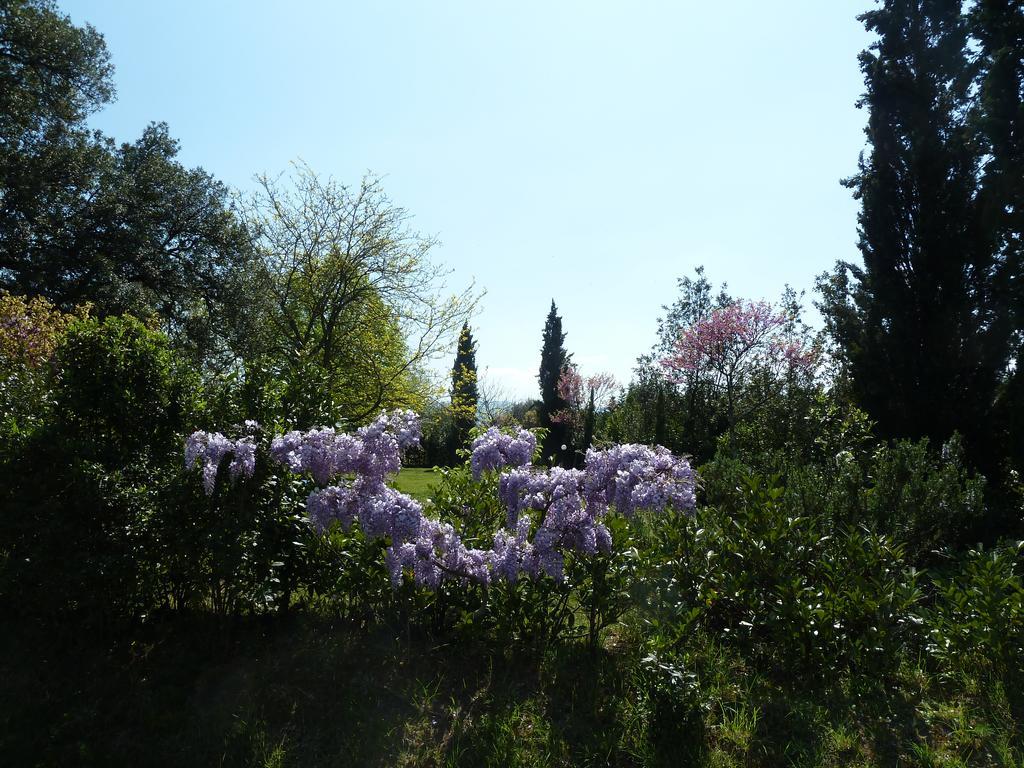 Al Vecchio Leccio Guest House Pistoia Luaran gambar